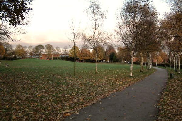 Leafy parkland with mature trees at Shirley Park